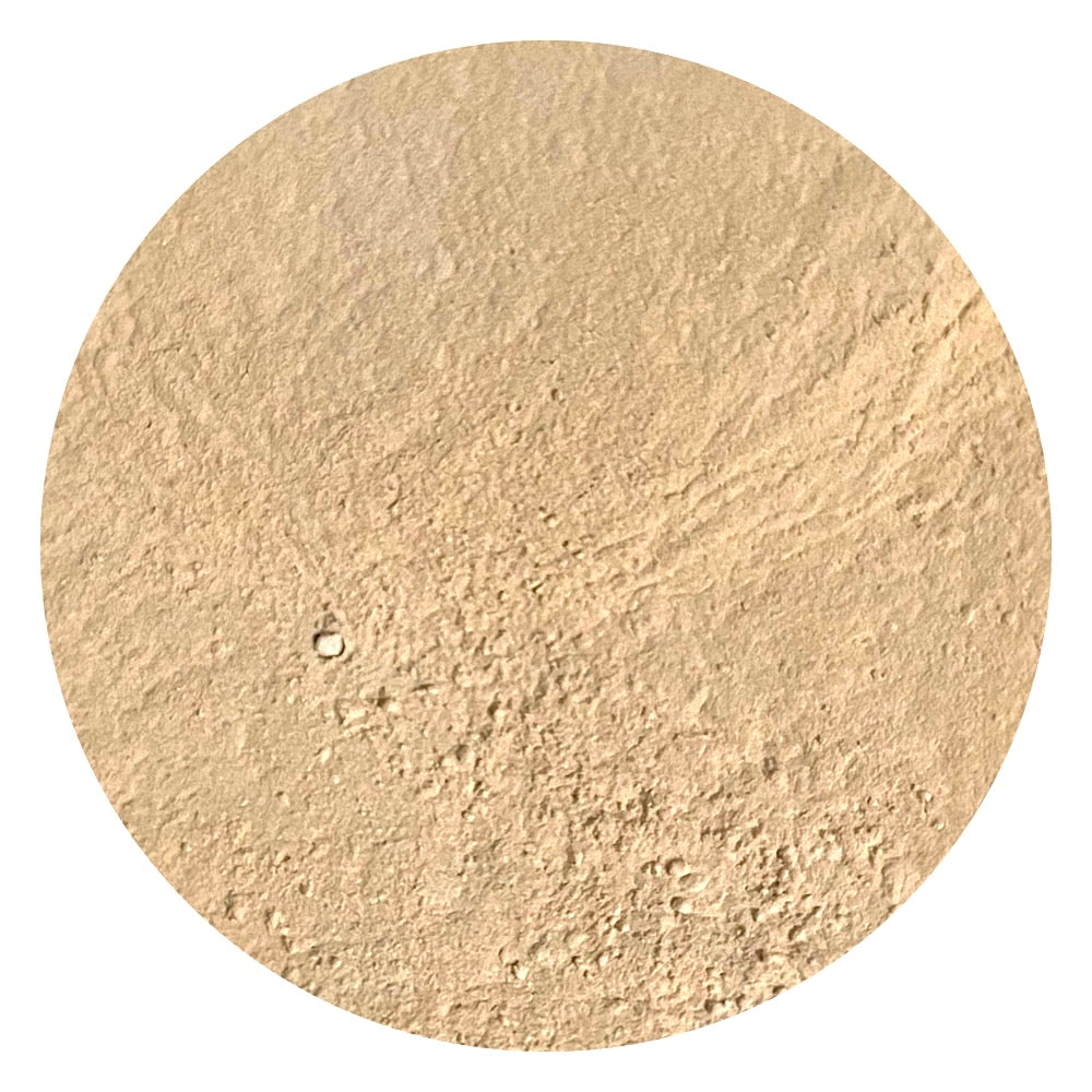 Light peach olive golden mineral foundation shade Grace 3.0 by Adorned with Grace for balanced olive undertone skin