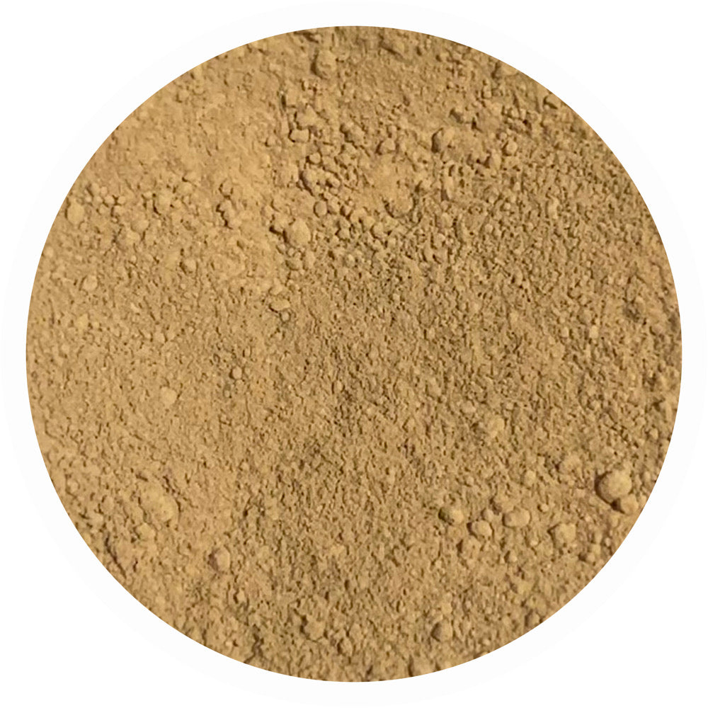 Medium neutral olive mineral foundation shade Charity 4.0 by Adorned with Grace for olive undertone skin