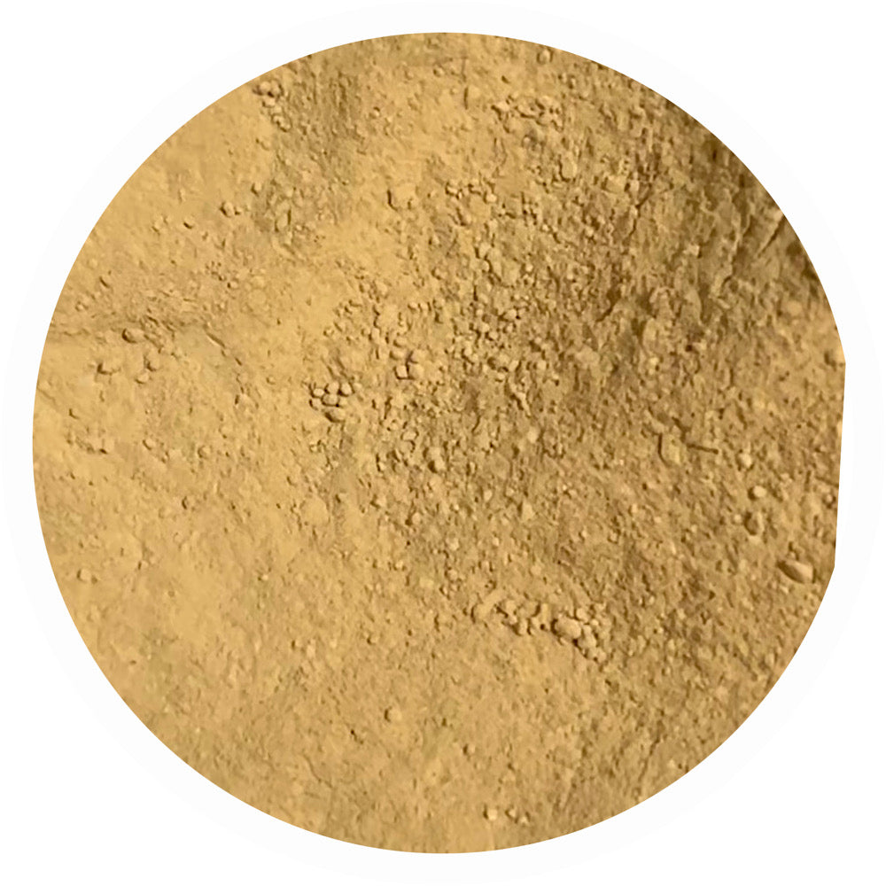 Medium tan golden brown mineral foundation shade Faith 4.2 by Adorned with Grace for warm golden undertone skin