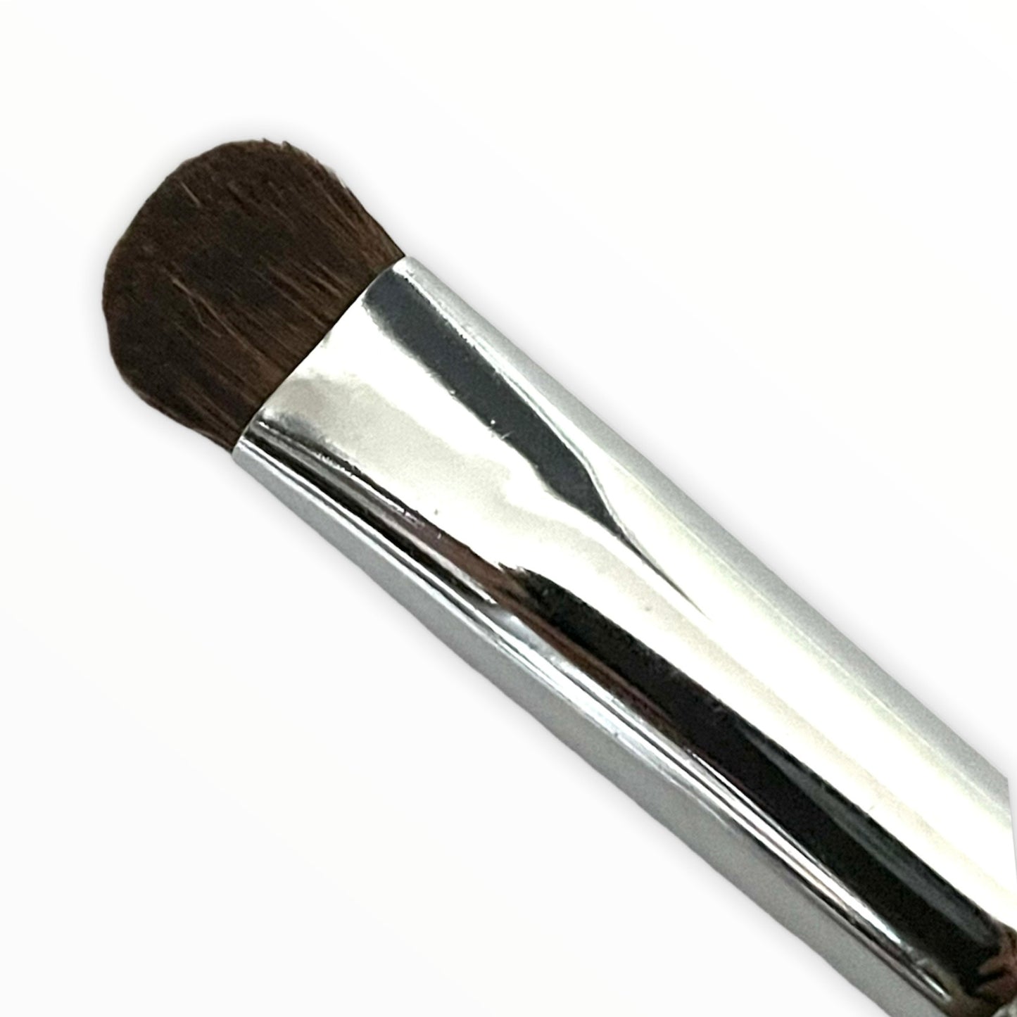 Ingenue Eye Brushes