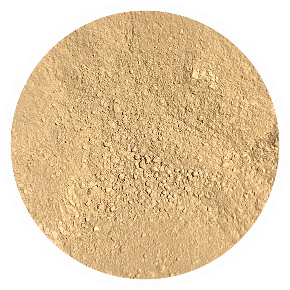 Light medium peach olive golden mineral foundation shade Grace 3.5 by Adorned with Grace for multi-undertone olive skin