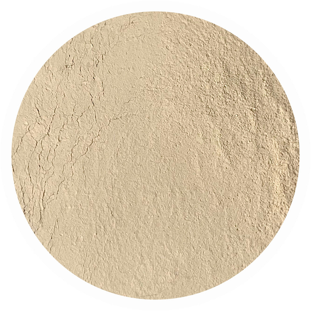 Light neutral olive mineral foundation shade Peace 3.0 by Adorned with Grace for true olive undertone skin