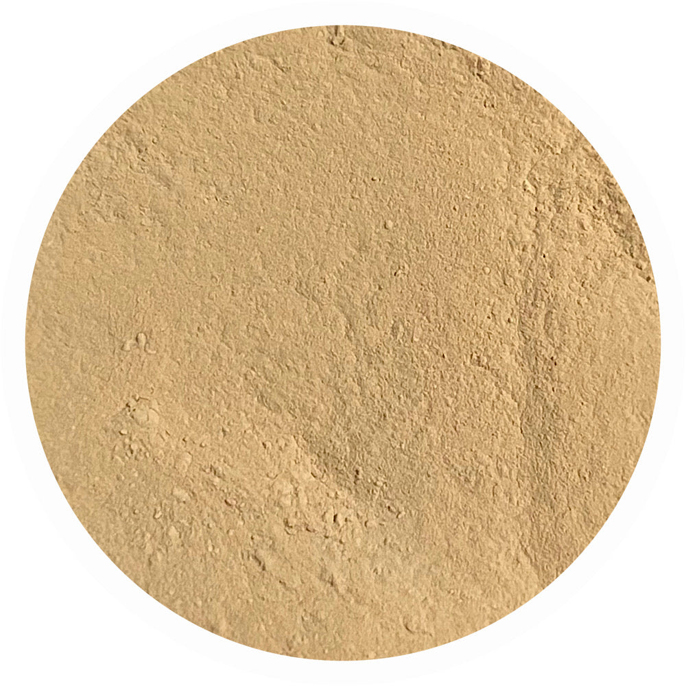 Light peach mineral foundation shade Kindness 3.0 by Adorned with Grace for soft peach undertone skin
