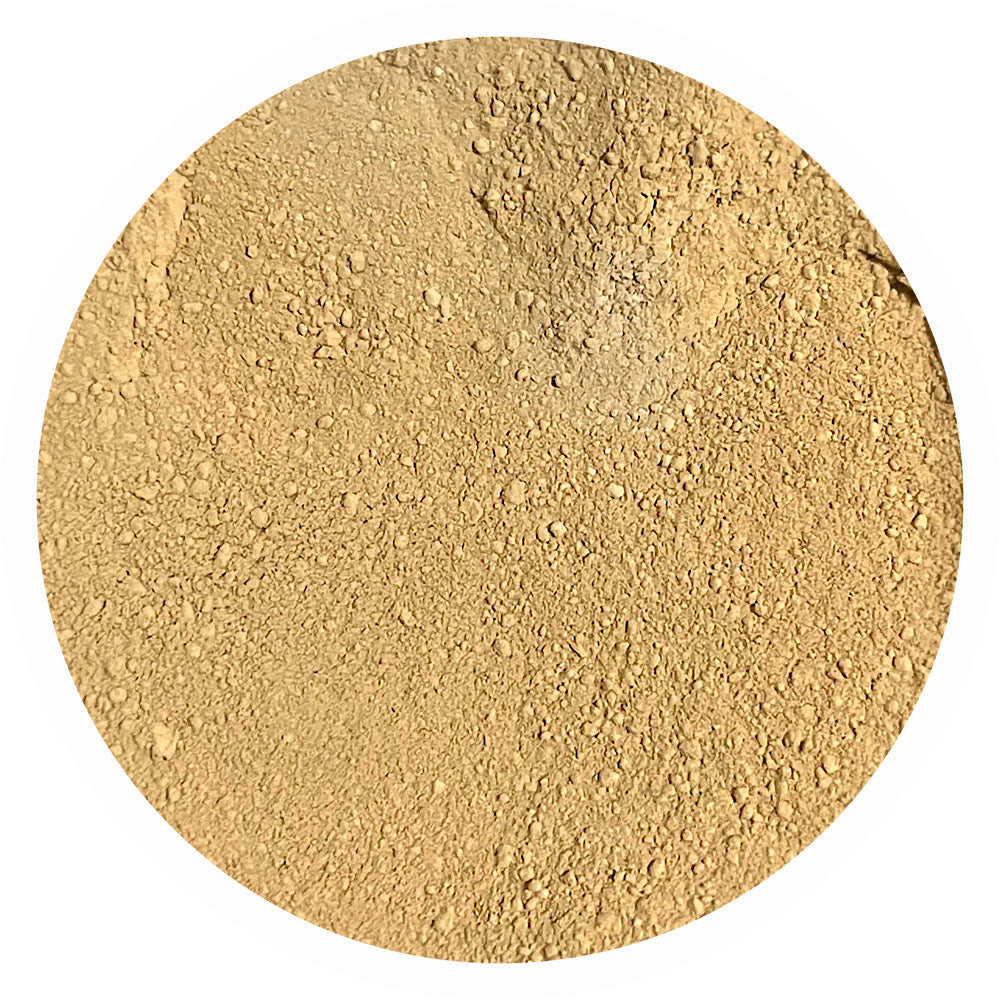 Light yellow olive mineral foundation shade Hope 3.0 by Adorned with Grace for yellow olive undertone skin