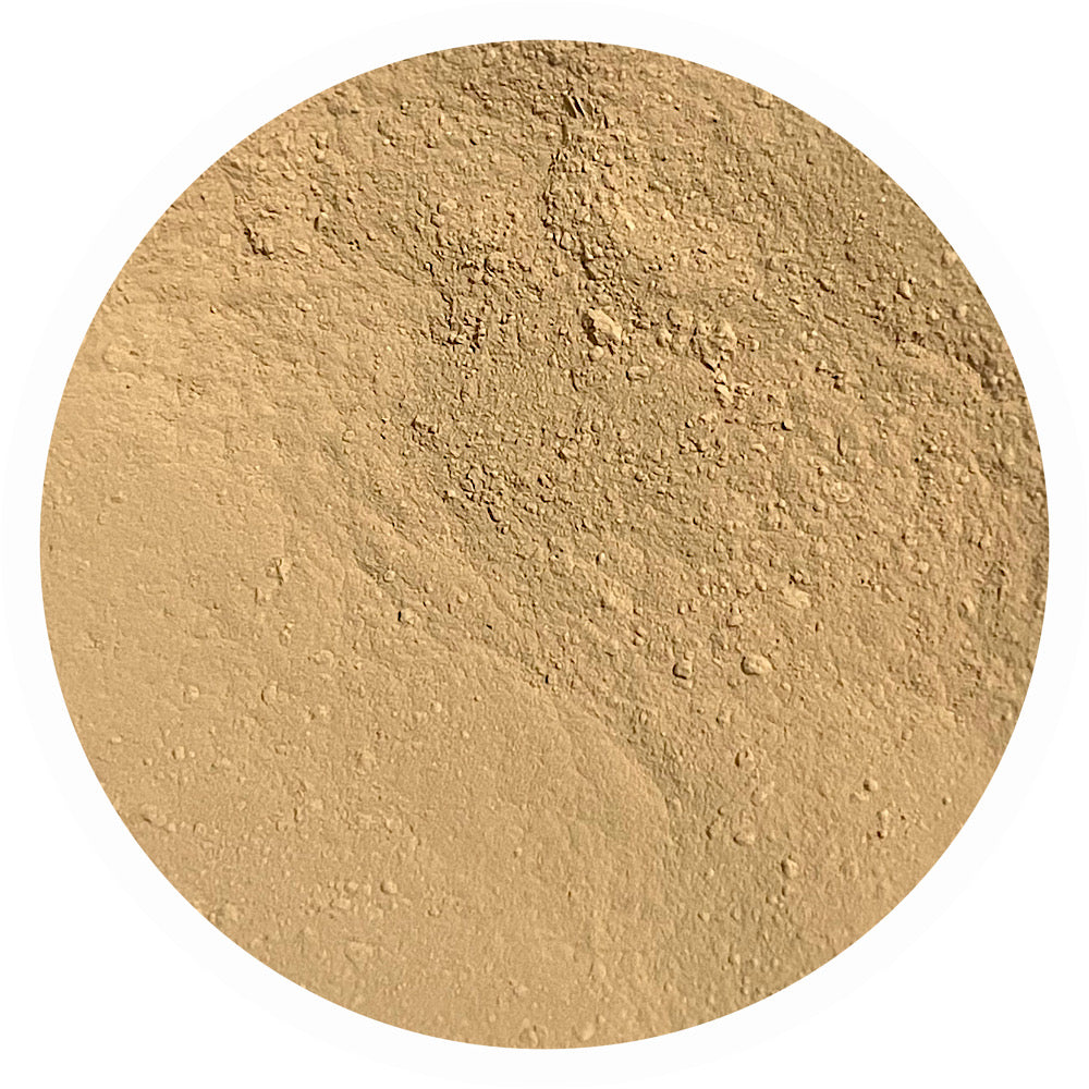 Medium yellow olive mineral foundation shade Hope 3.8 by Adorned with Grace for golden olive undertone skin